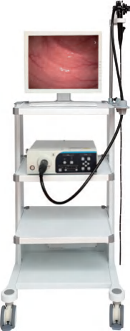 Sistema de endoscopio médico YSVME-200A — imagen 1
